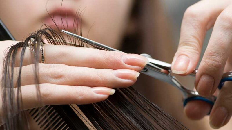 Купить диплом подлинный. Диплом парикмахера